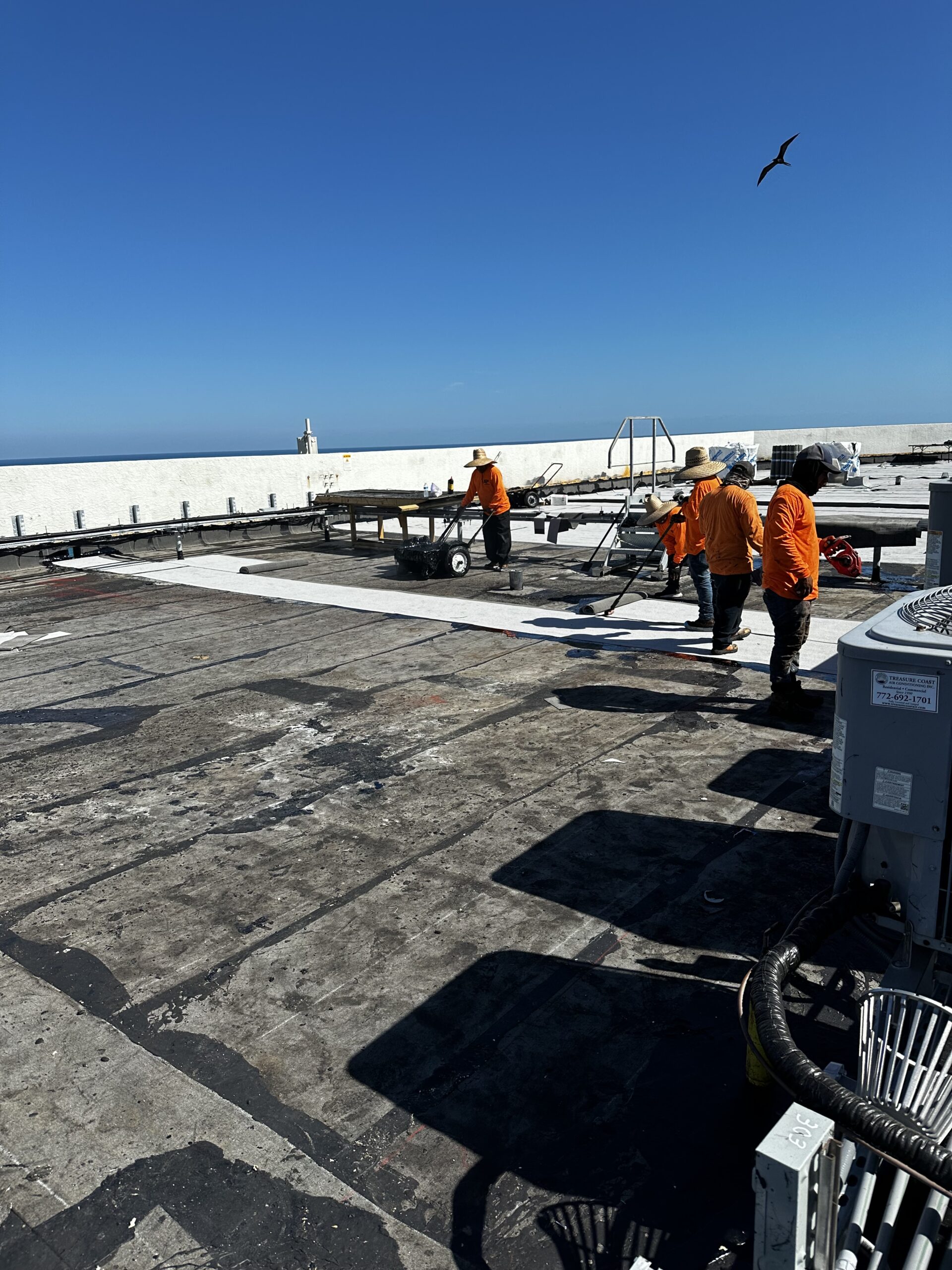 Inspection Mar 7, 2025