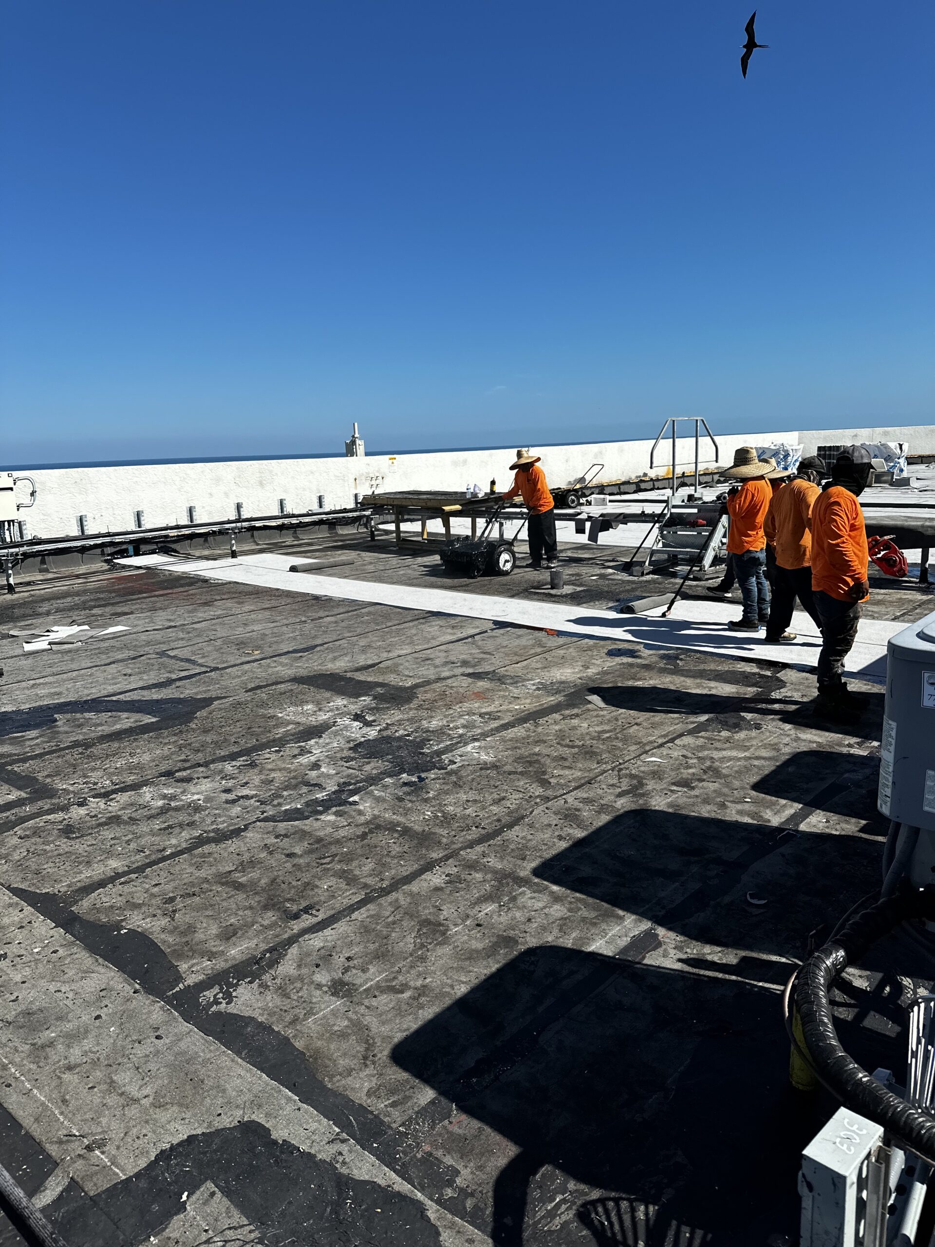 Inspection Mar 7, 2025